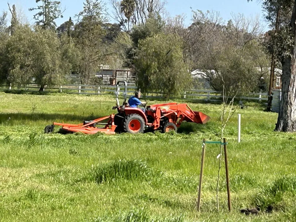 Trusted landscaping services for year-round maintenance across Ramona, CA - Bigmow
