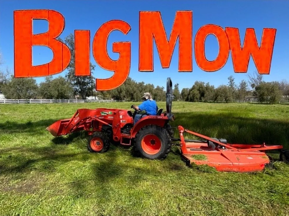 Professional landscape design for residential properties in Ramona, CA by Bigmow