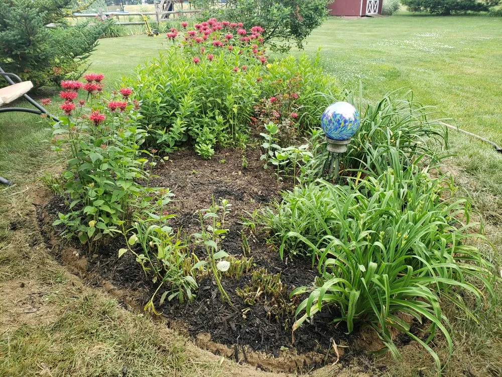 Professional lawn mowing service in Bangor, PA - BignGreen