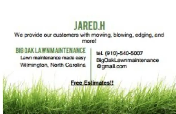 Trusted yard cleanup service near you in Wilmington, NC by BigOakLawnMaintenance