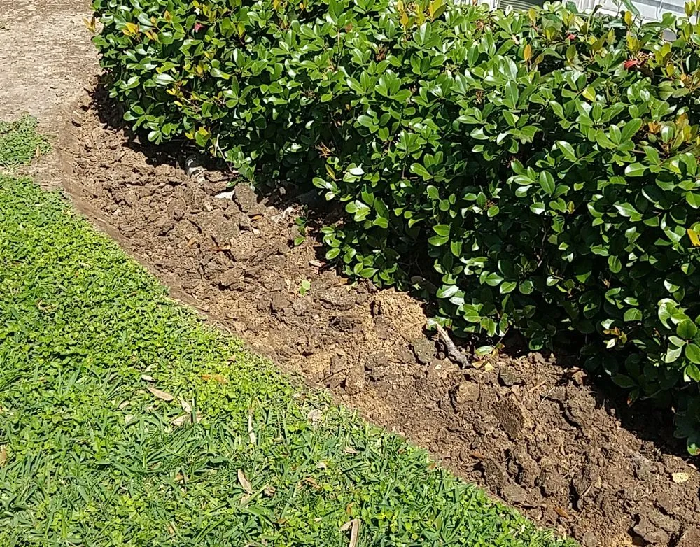 Trusted lawn mowing service experts serving Houston, TX - BIGREEN Flores Landscaping