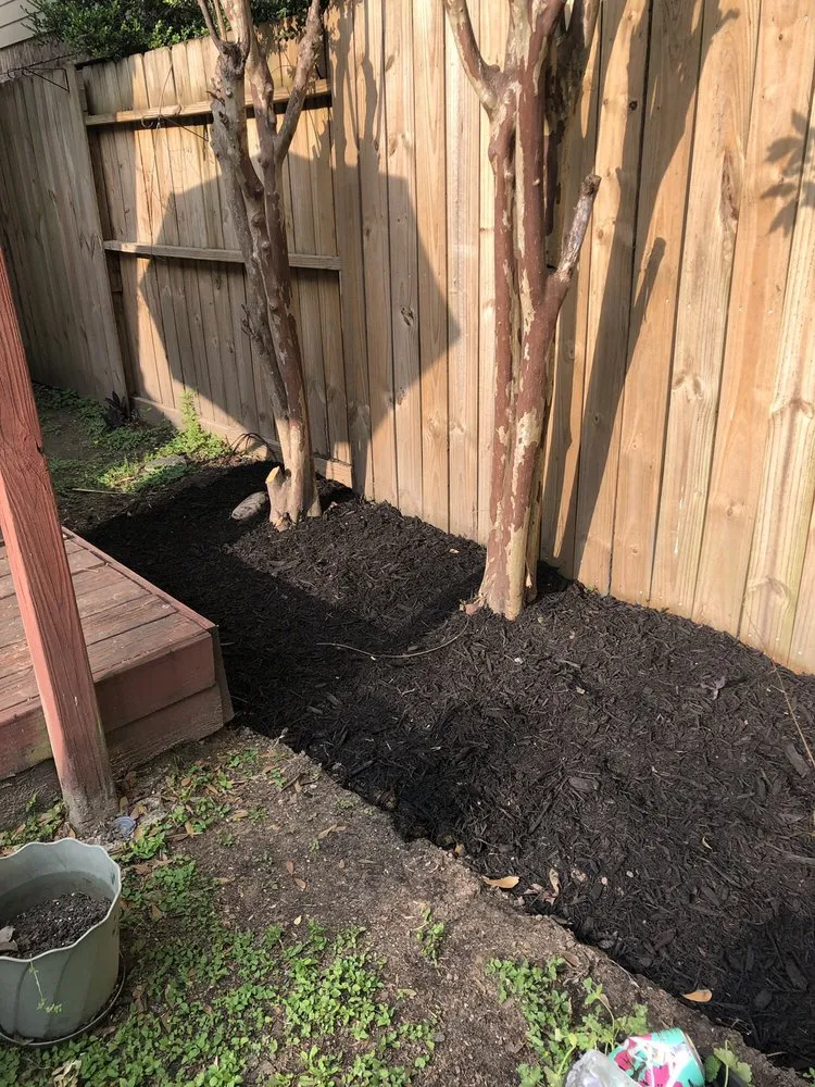 Expert lawn care service in Houston, TX by BIGREEN Flores Landscaping