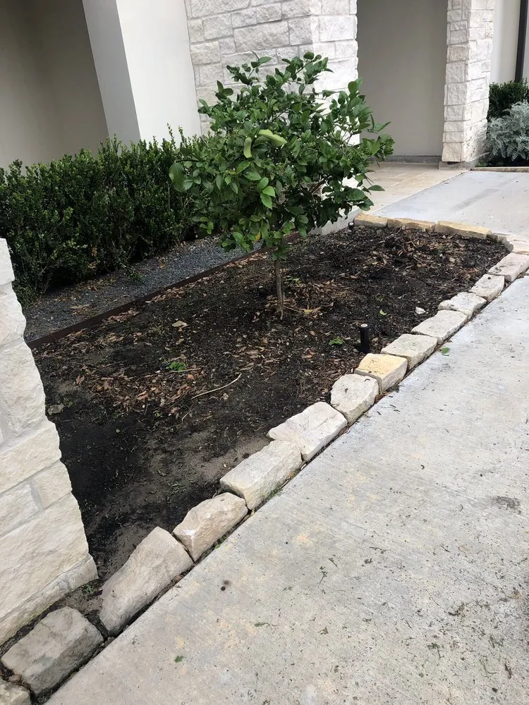 Affordable landscape installation in Houston, TX by BIGREEN Flores Landscaping