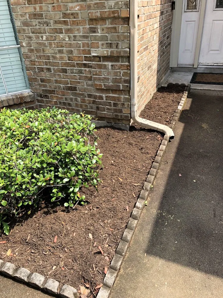 Local lawn care service for beautiful yards in Houston, TX by BIGREEN Flores Landscaping