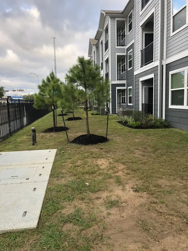 Professional landscape design in Houston, TX - BIGREEN Flores Landscaping