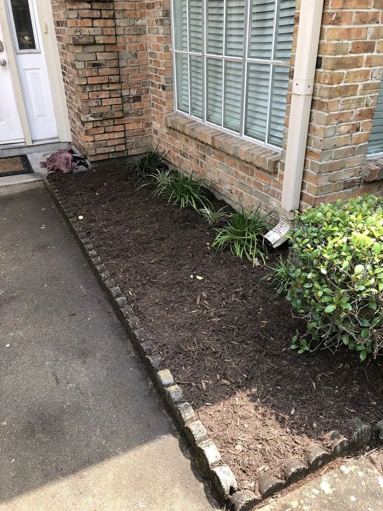 Custom yard cleanup service experts serving Houston, TX - BIGREEN Flores Landscaping