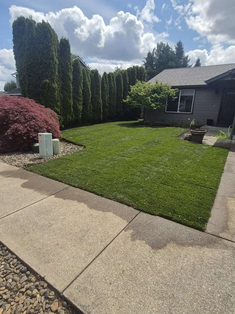Top-rated yard cleanup service with custom design in Salem, OR by Big's Lawn Service
