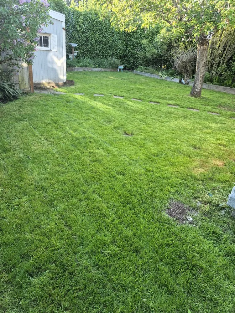 Local lawn mowing service in Salem, OR by Big's Lawn Service