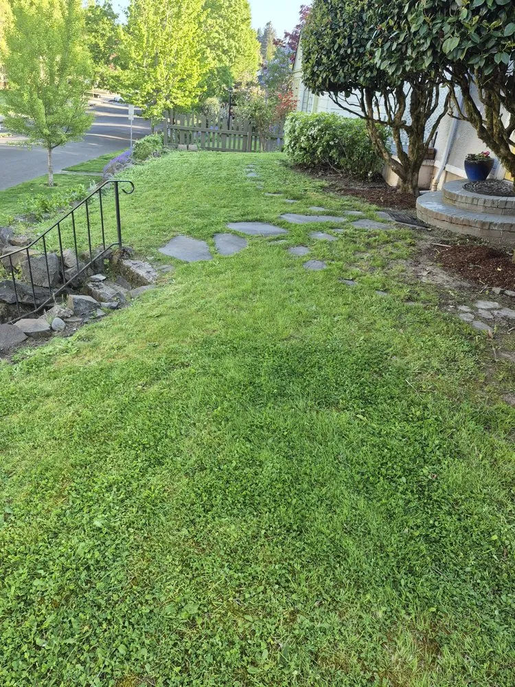 Expert yard maintenance for beautiful yards across Salem, OR - Big's Lawn Service