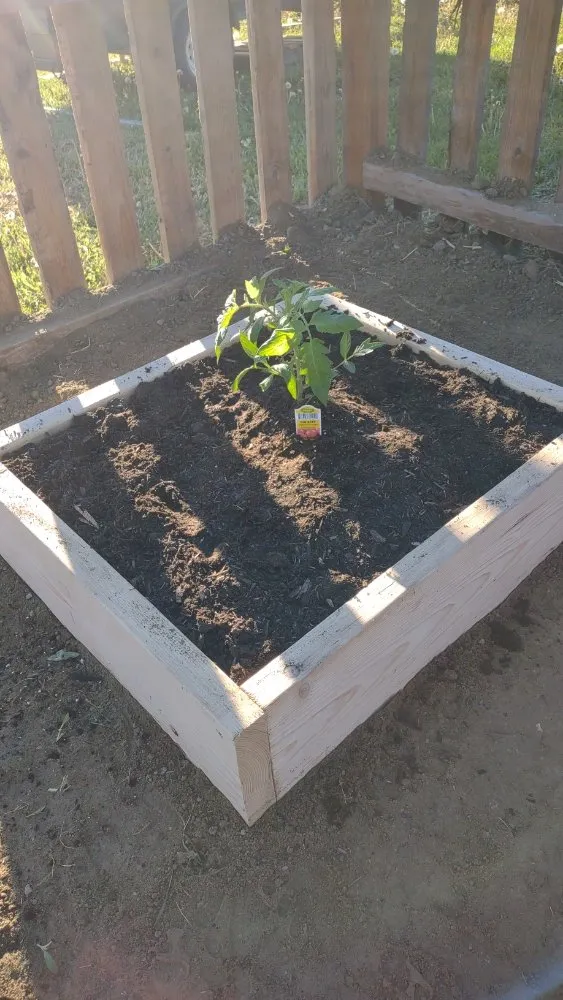 Expert yard cleanup service in Billings, MT by BigSky Lawn & Garden