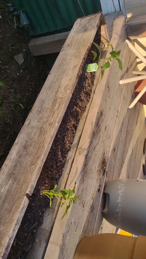 Affordable landscaping services with custom design across Billings, MT - BigSky Lawn & Garden