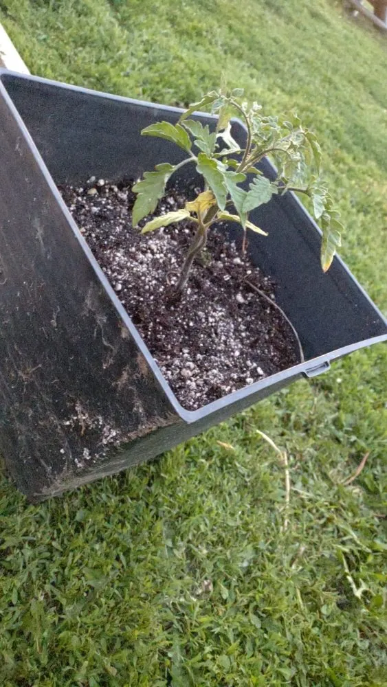 Custom landscape installation in Billings, MT by BigSky Lawn & Garden