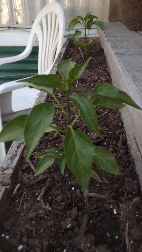 Custom lawn care service in Billings, MT - BigSky Lawn & Garden