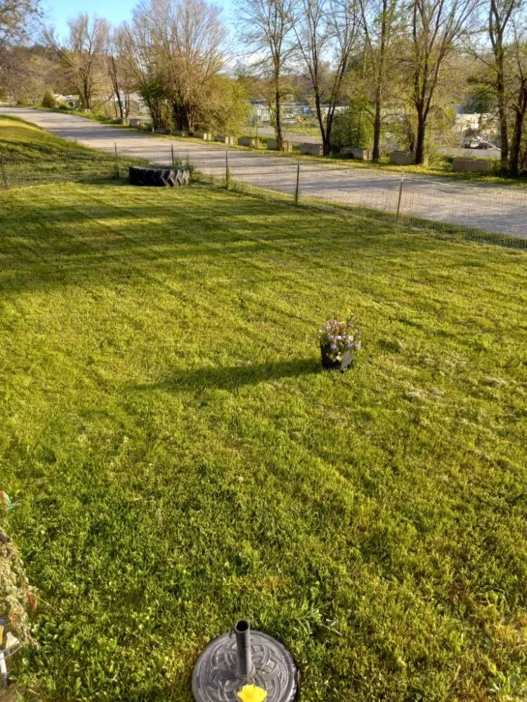 Custom lawn mowing service for residential properties across Billings, MT - BigSky Lawn & Garden