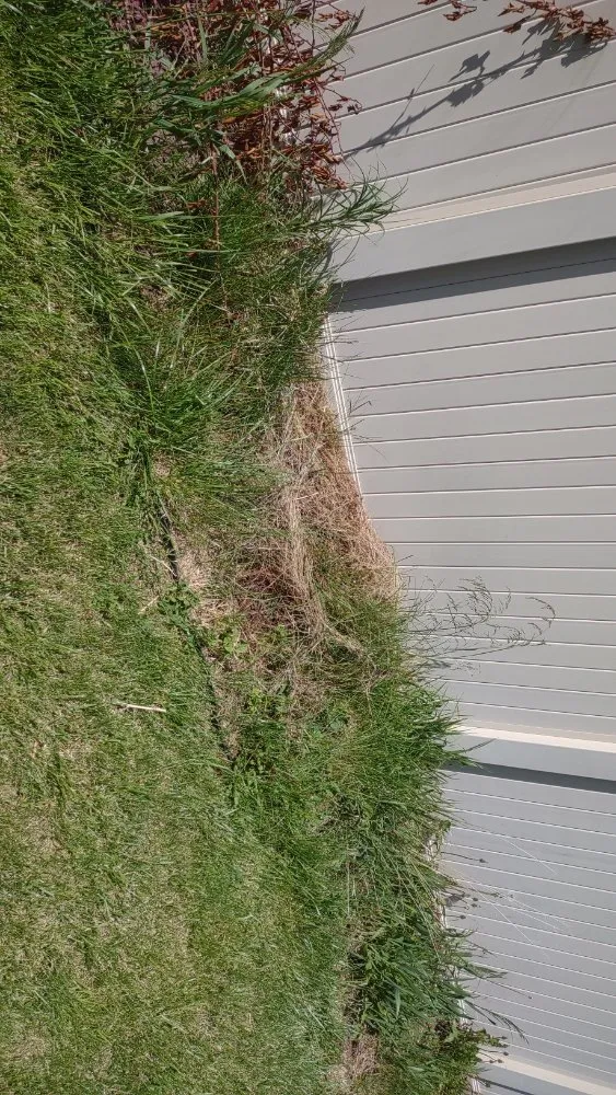 Professional garden landscaping experts serving Billings, MT - BigSky Lawn & Garden