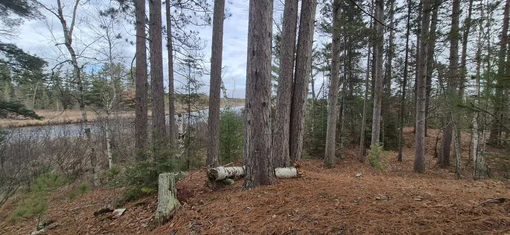 Reliable residential landscaping in Rhinelander, WI - Bigwills Outdoors and Adventures