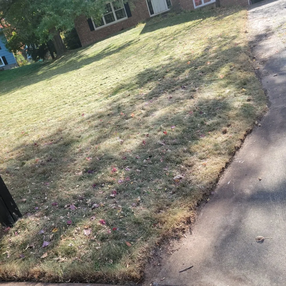 Affordable lawn mowing service for year-round maintenance across Wausau, WI - Bike Train Lawn Care