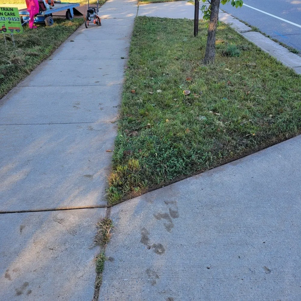 Affordable lawn mowing service for outdoor upgrades in Wausau, WI by Bike Train Lawn Care