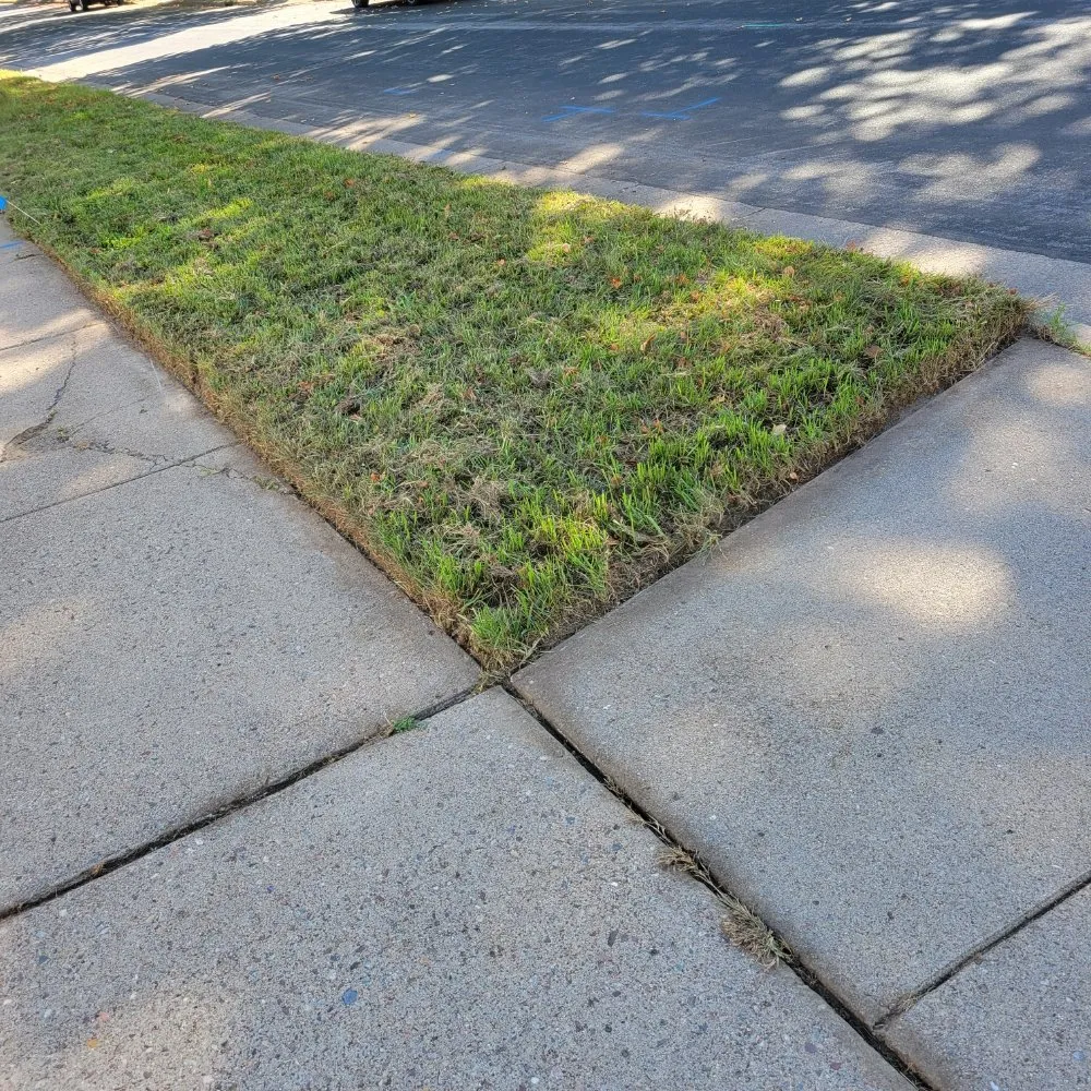 Top-rated landscape installation in Wausau, WI by Bike Train Lawn Care