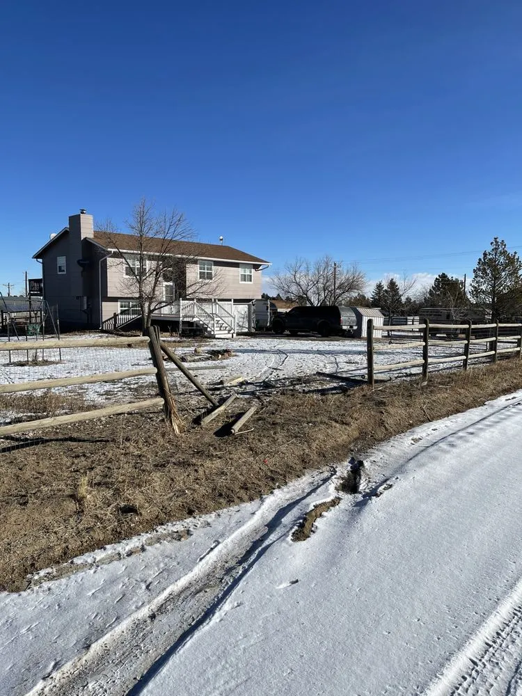 Expert yard cleanup service in Denver, CO by Bild’s Dump Trailer Services
