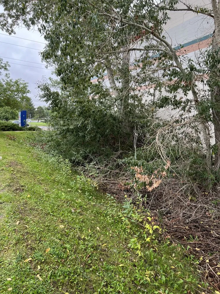 Custom outdoor landscaping in Denver, CO - Bild’s Dump Trailer Services