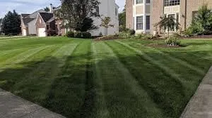 Expert yard maintenance for outdoor upgrades across Farmington, MN - Bilek Landscaping