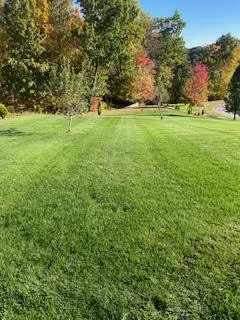 Affordable lawn mowing service experts serving Fitchburg, MA - Bilino General Services