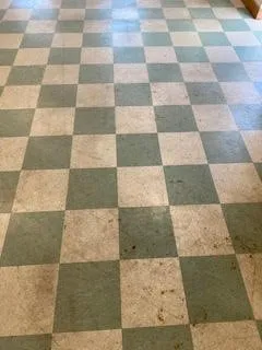 Expert yard cleanup service in Fitchburg, MA by Bilino General Services