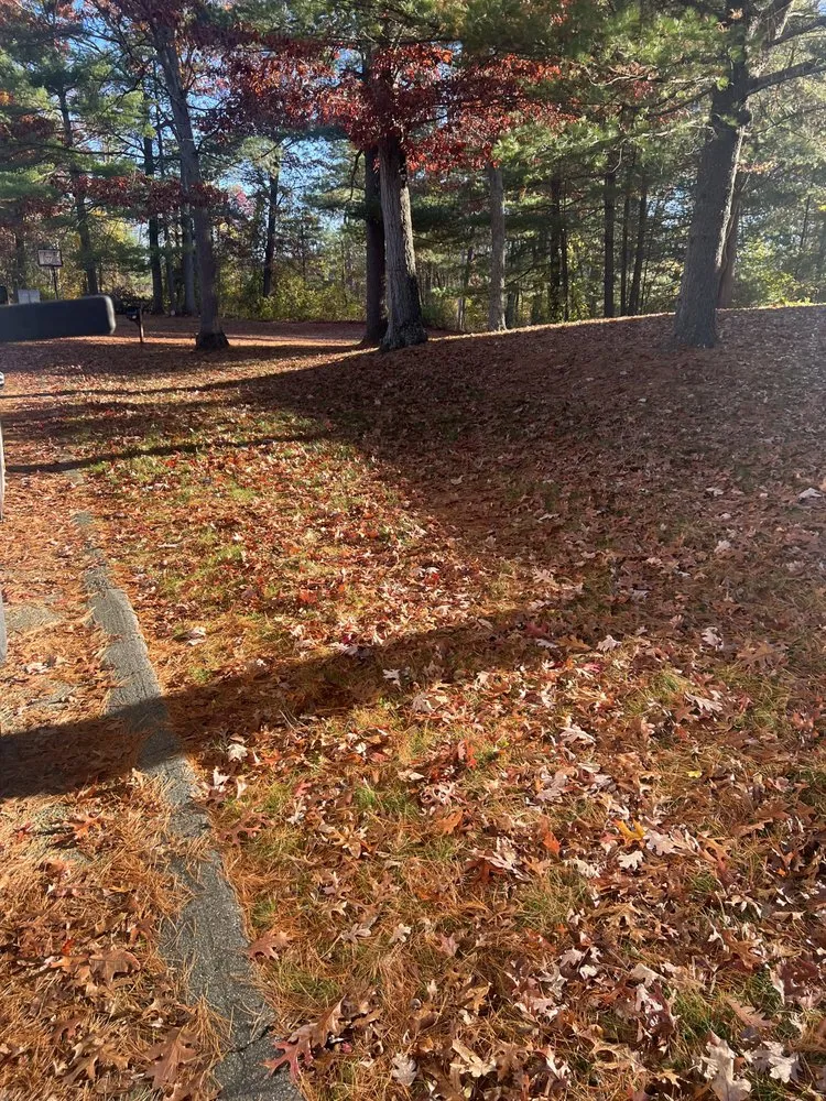 Top-rated yard maintenance for year-round maintenance across Fitchburg, MA - Bilino General Services