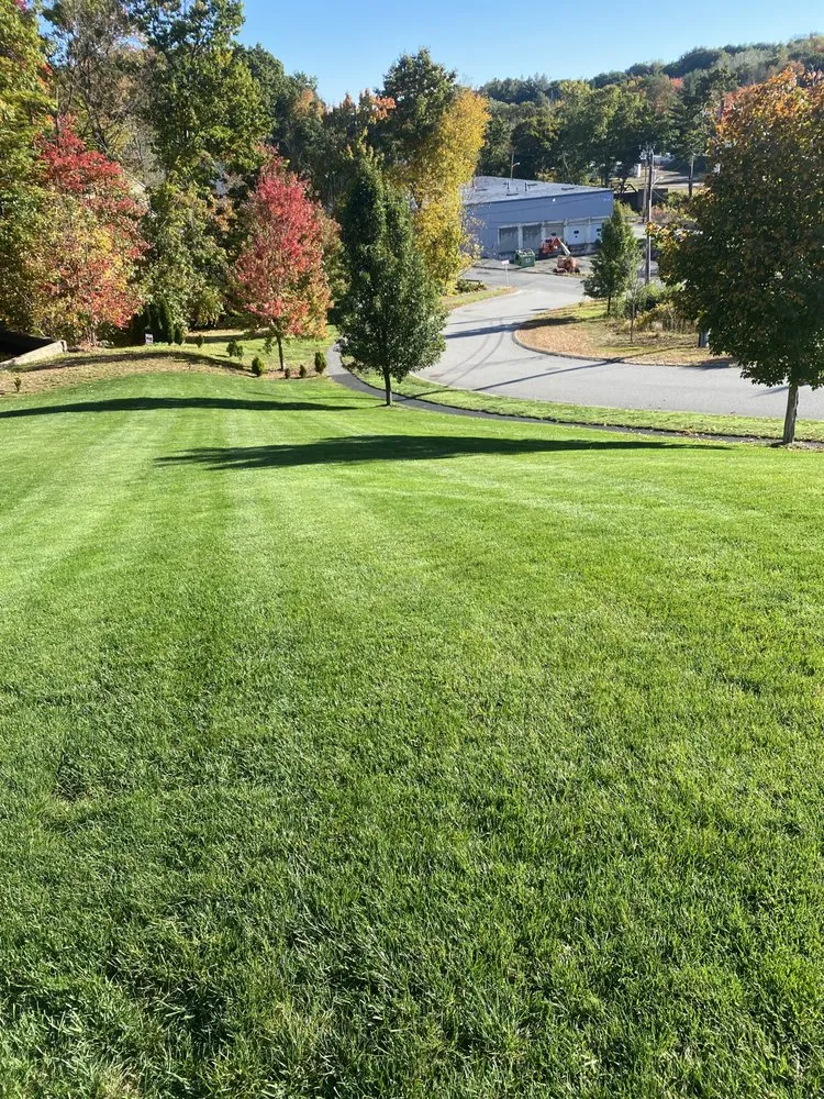 Custom lawn mowing service experts serving Fitchburg, MA - Bilino General Services