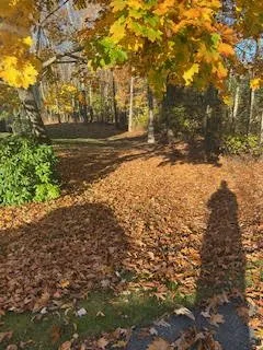 Top-rated residential landscaping in Fitchburg, MA - Bilino General Services