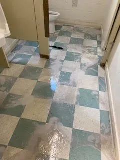 Affordable yard cleanup service experts serving Fitchburg, MA - Bilino General Services