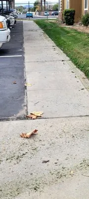 Bill and Dave's Landscape Maintenance