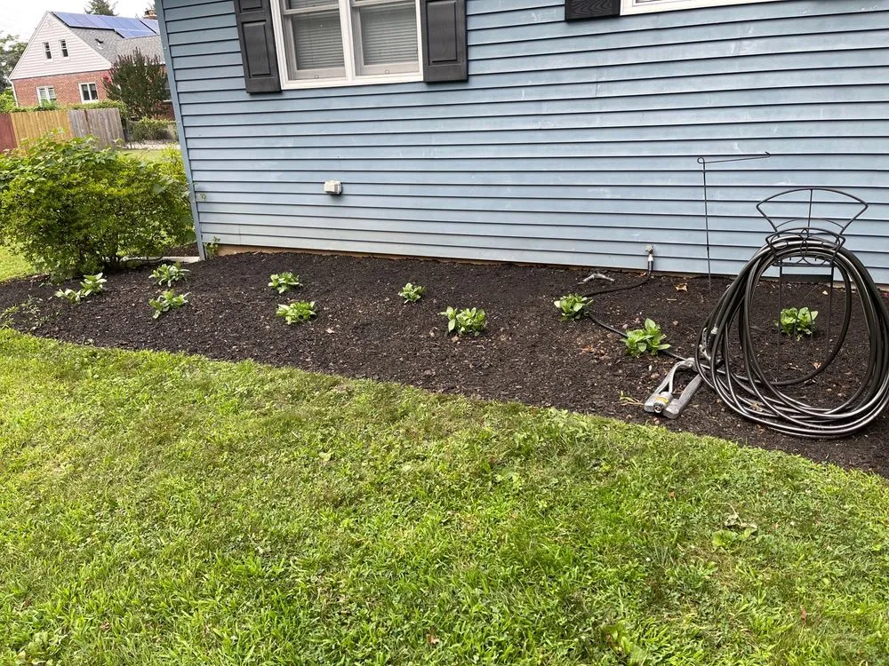 Professional yard cleanup service in Lincroft, NJ by Bill and Ed's Lawn and Landscape