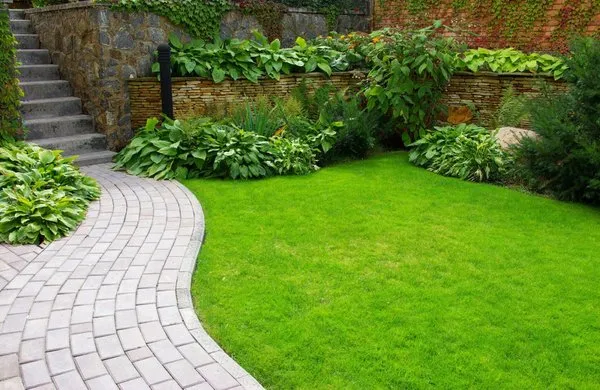 Bill Evans Lawn & Landscaping
