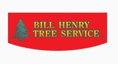 Trusted yard cleanup service for year-round maintenance in Brewster, NY by Bill Henry Tree Service