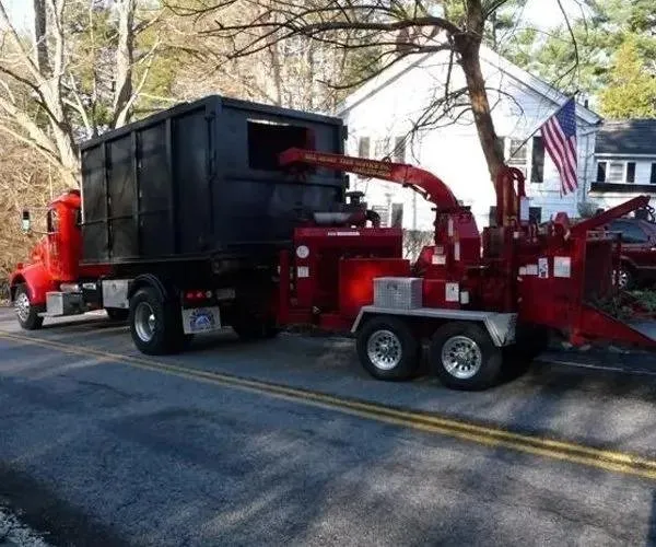 Affordable lawn care service experts serving Brewster, NY - Bill Henry Tree Service