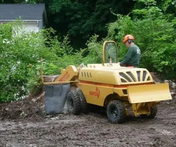 Expert landscaping services in Brewster, NY by Bill Henry Tree Service