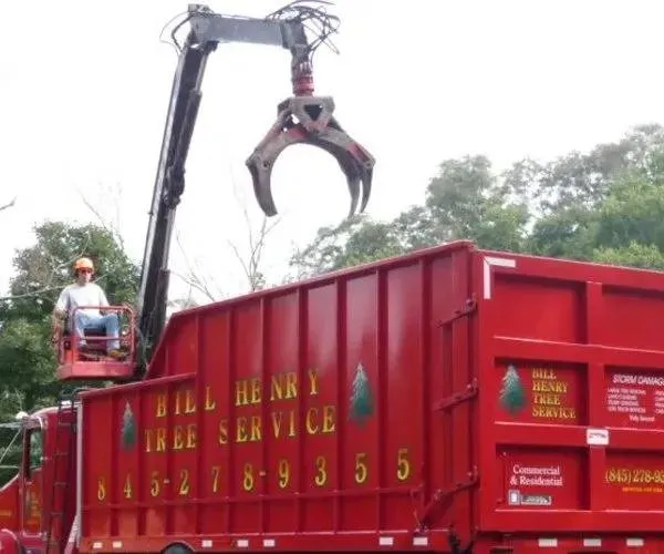 Expert landscape design experts serving Brewster, NY - Bill Henry Tree Service