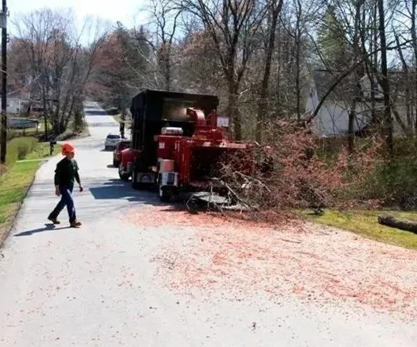 Affordable garden landscaping in Brewster, NY by Bill Henry Tree Service