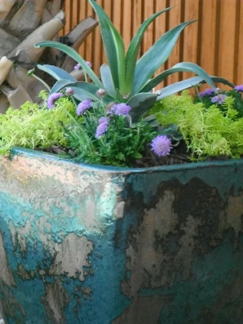 Reliable residential landscaping in Denison, TX by Bill Kennedy Landscape