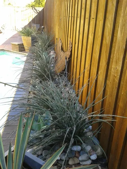 Local garden landscaping in Denison, TX by Bill Kennedy Landscape