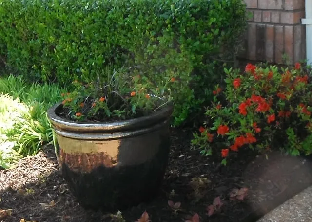 Affordable residential landscaping near you across Denison, TX - Bill Kennedy Landscape