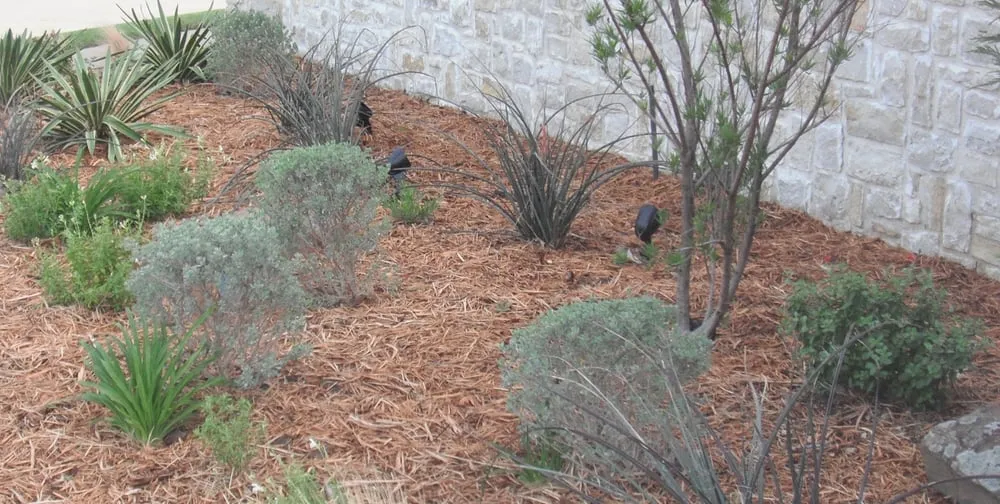 Reliable landscape design experts serving Denison, TX - Bill Kennedy Landscape