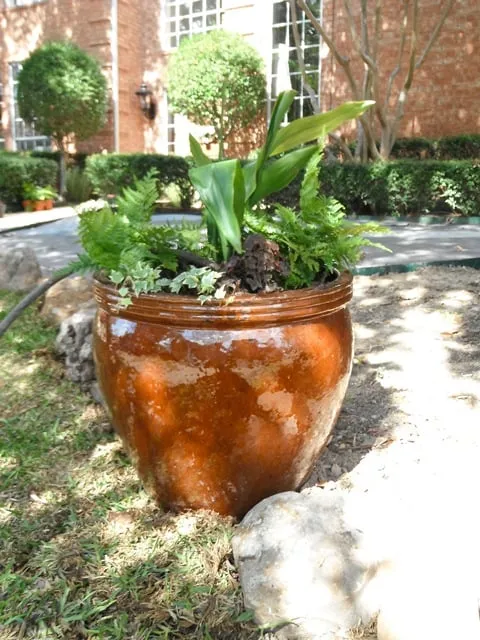 Expert outdoor landscaping for outdoor upgrades across Denison, TX - Bill Kennedy Landscape