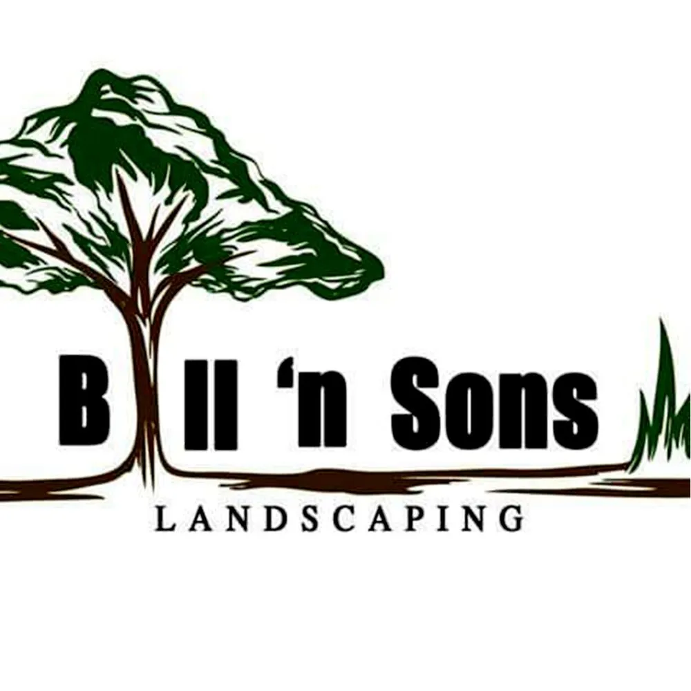 Custom yard cleanup service for residential properties across DeKalb, IL - Bill n' Sons Landscaping