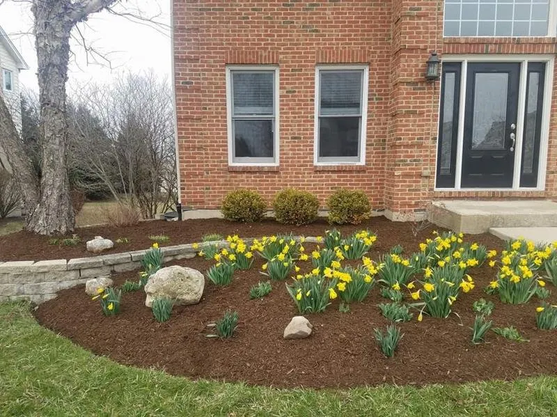 Top-rated yard maintenance in DeKalb, IL - Bill n' Sons Landscaping