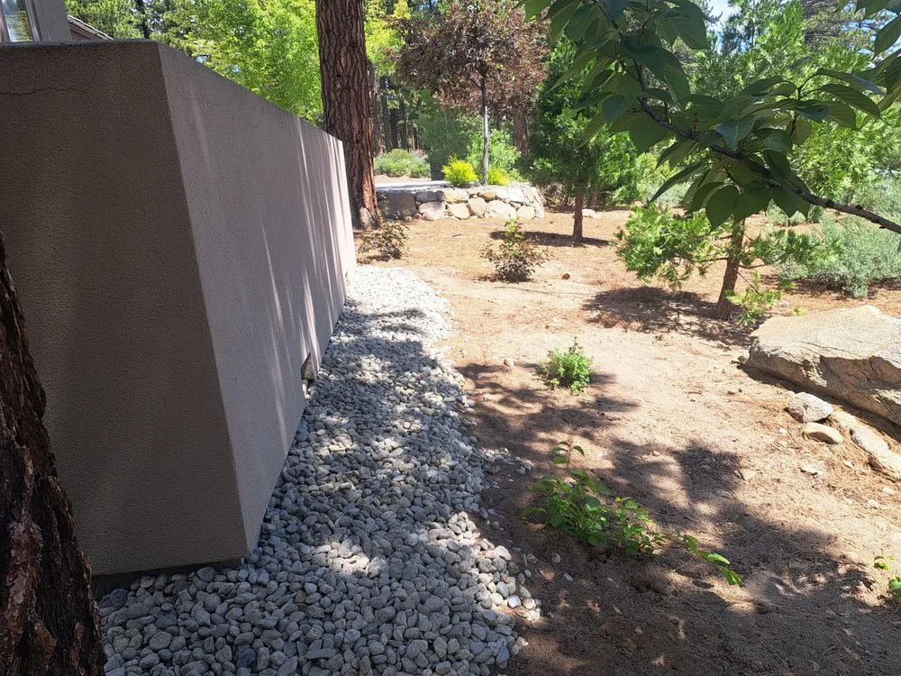 Expert yard cleanup service experts serving Reno, NV - Bill Romaniw Lawn & Landscaping