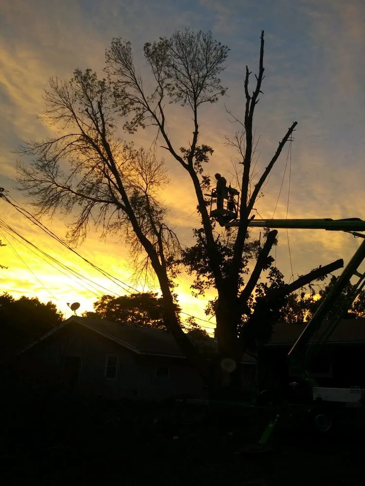 Affordable landscape installation in New Berlin, WI by Bill Servi Tree and Landscape Company