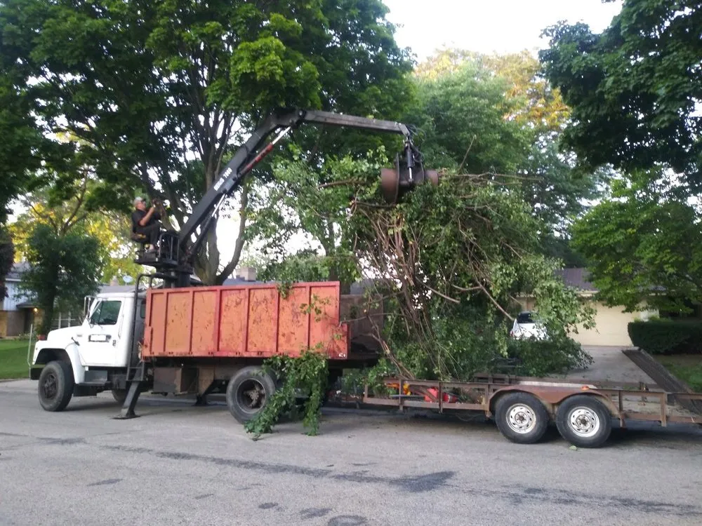 Custom lawn care service experts serving New Berlin, WI - Bill Servi Tree and Landscape Company